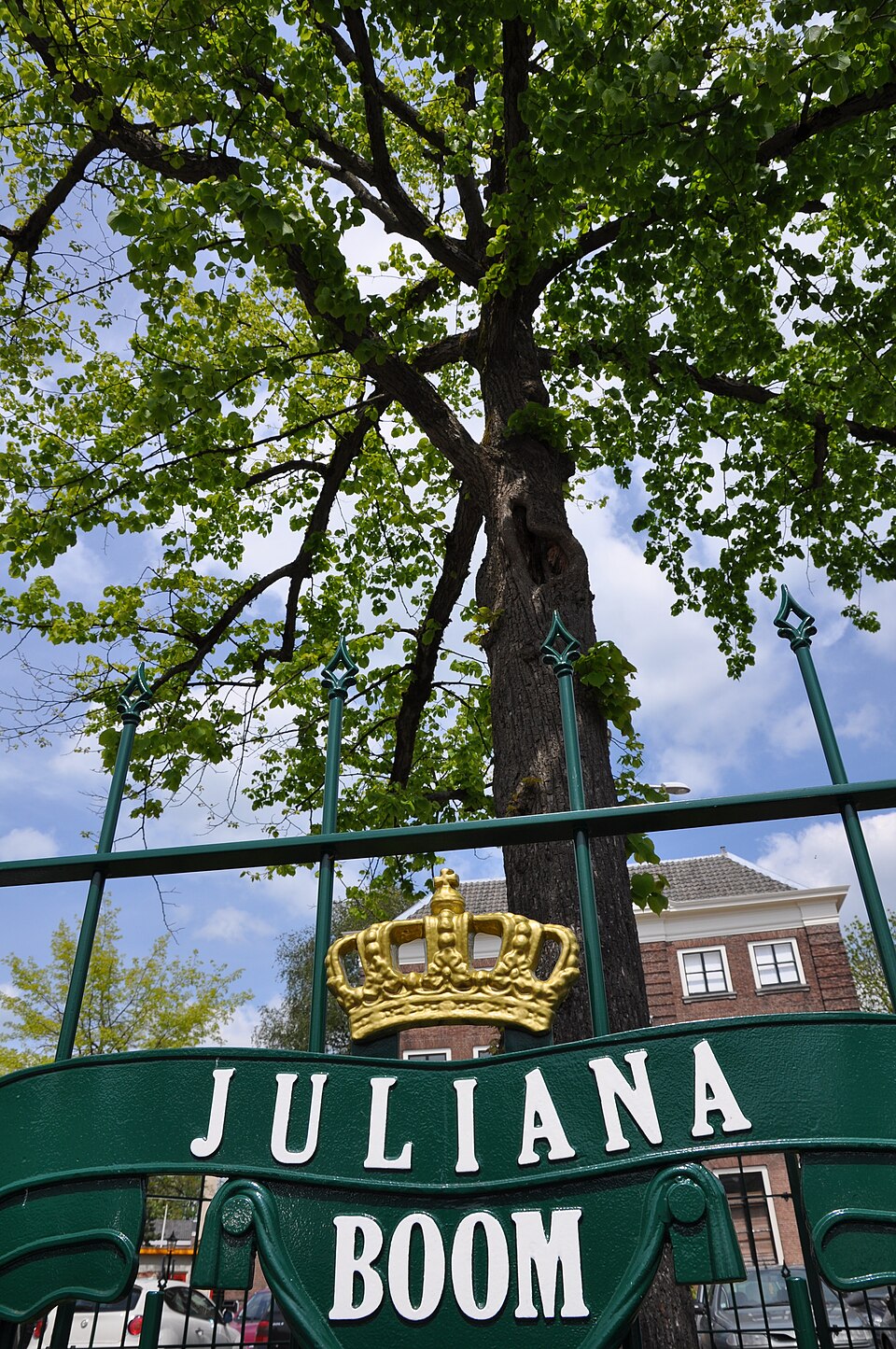 Herdenkingsboom: Dutch Royal Memorial Trees and Their Legacy